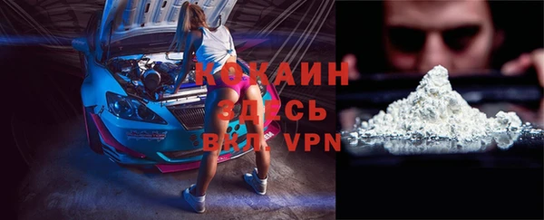 индика Алексеевка