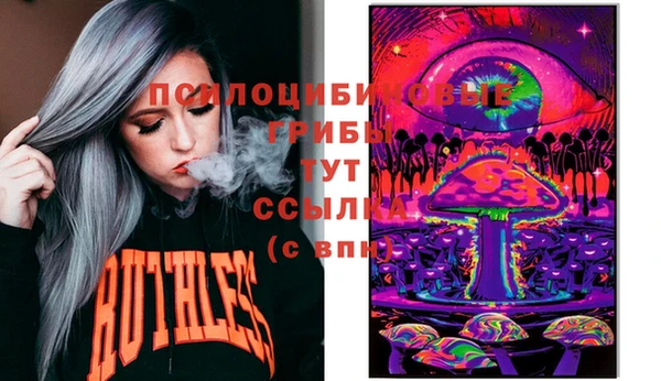 индика Алексеевка