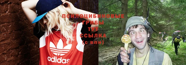прущие грибы Алзамай