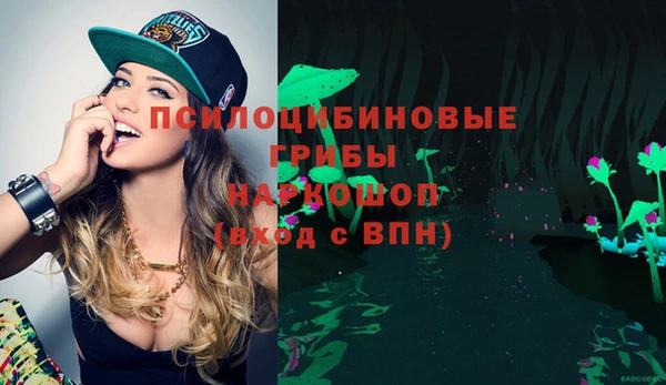 прущие грибы Алзамай