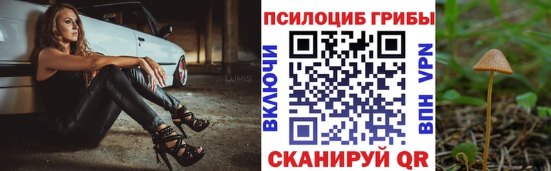 купить наркотик  Орёл  Галлюциногенные грибы ЛСД 